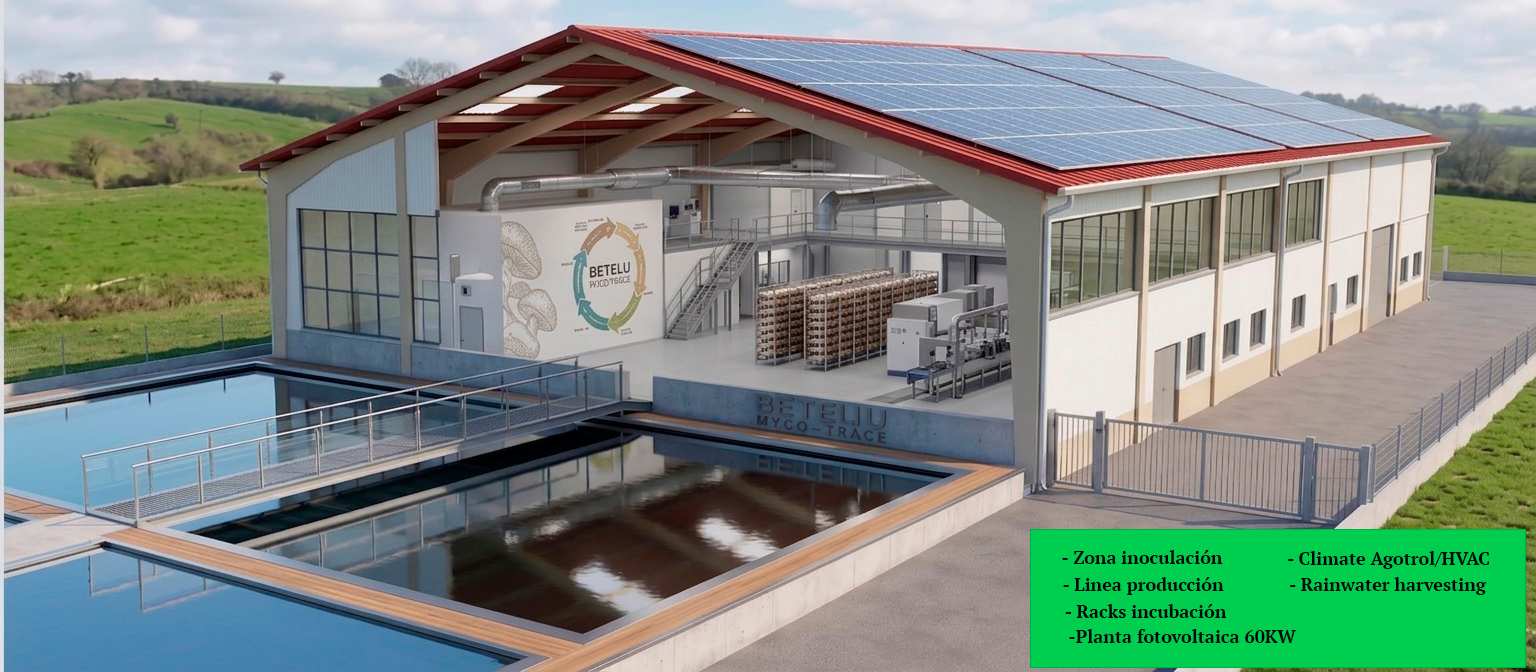 betelu myco trace infraestructura industrial, layout y matriz energÉtica